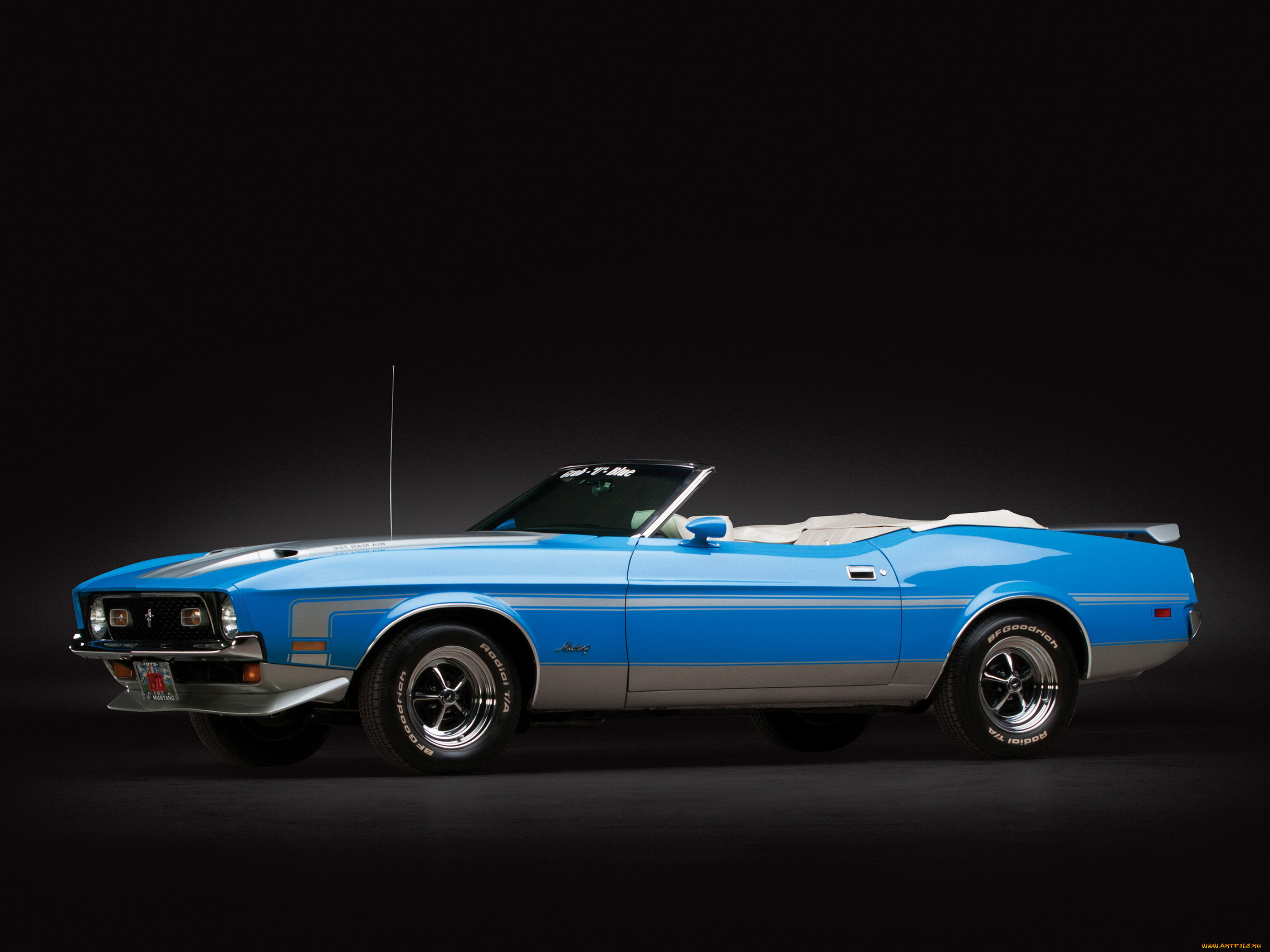 , mustang